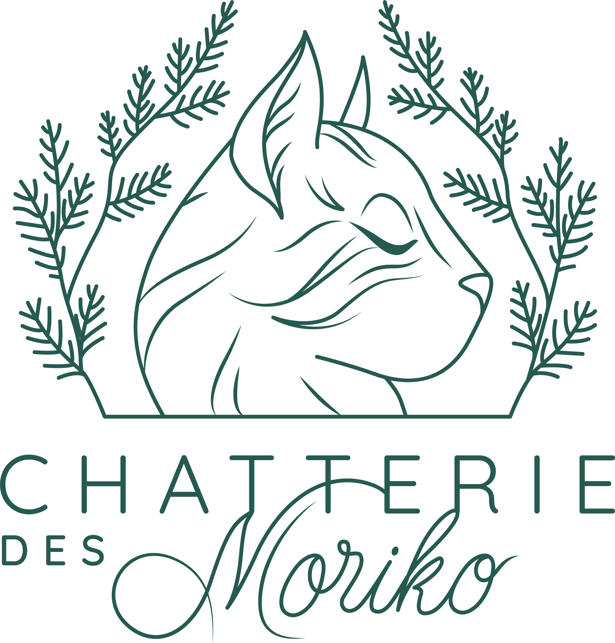 Logo_principal_vert_chats_norvégiens