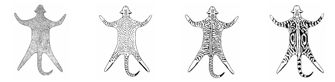 Marquages tabby : ticked, spotted, mackerel et blotched