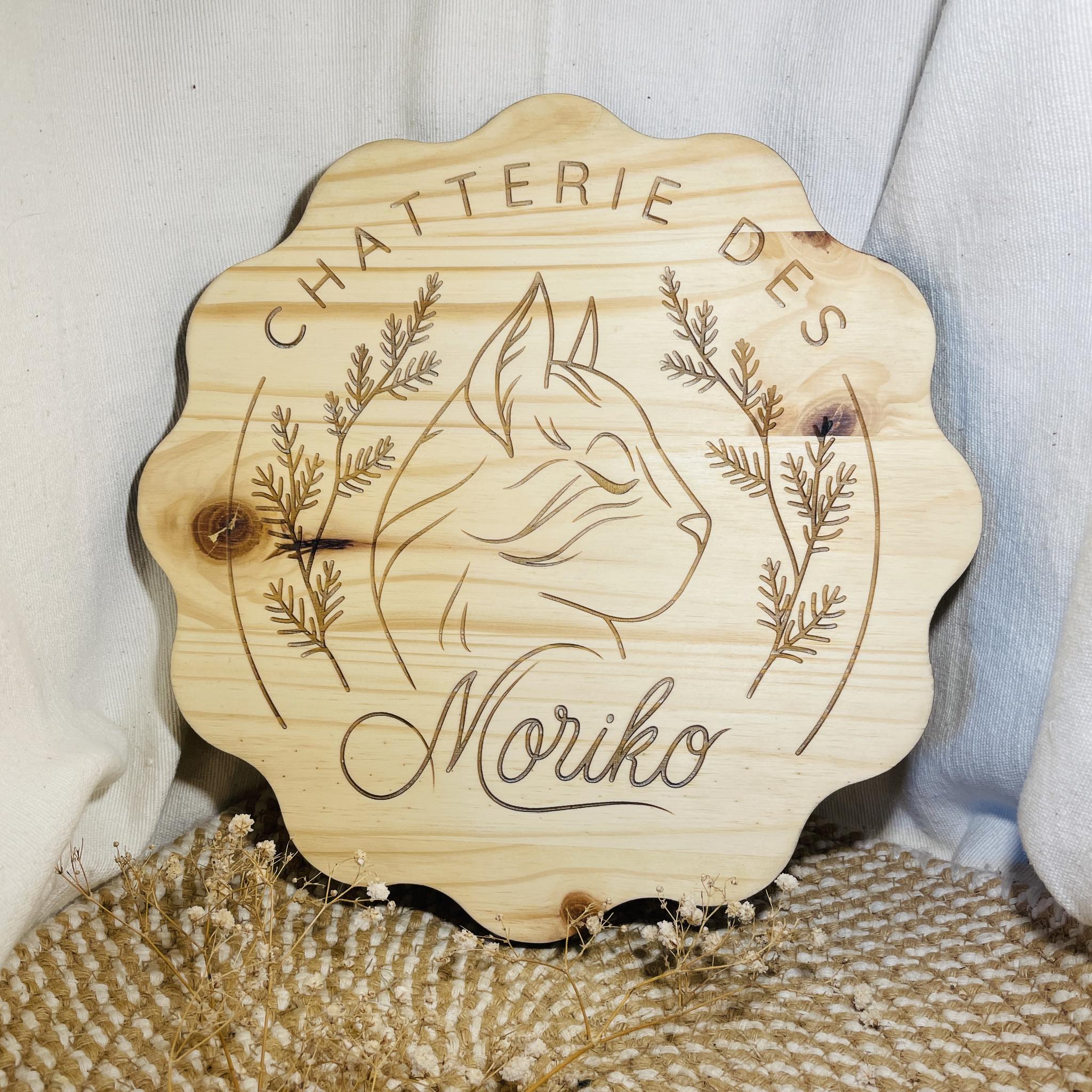 Vie quotidienne à la Chatterie des Moriko