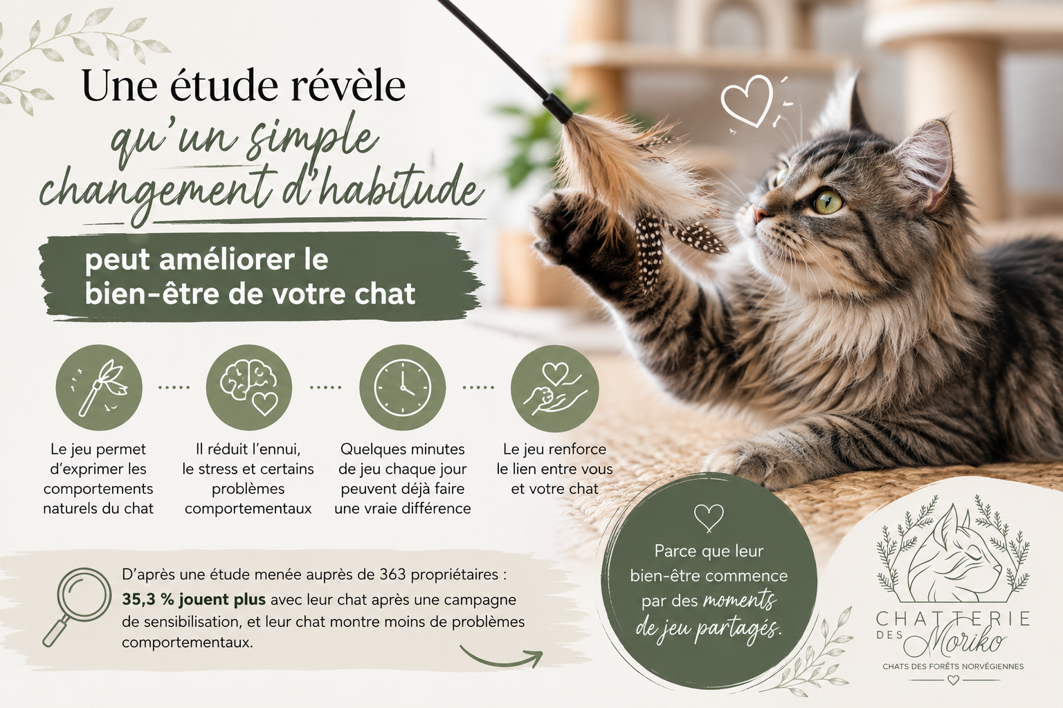 Jouez-vous suffisamment avec votre chat ?
