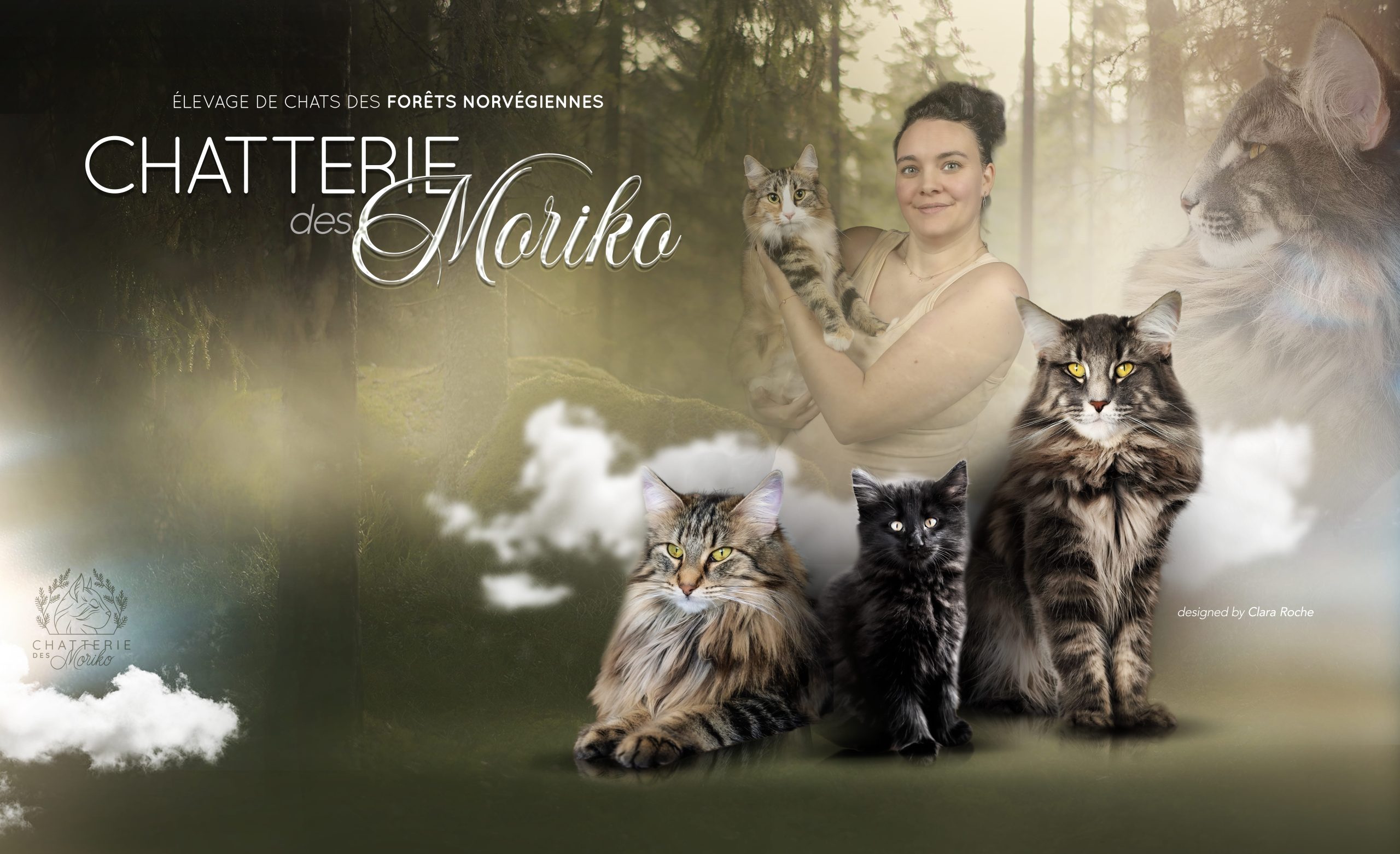 Chatterie des Moriko, élevage de chats Norvégiens en Isère