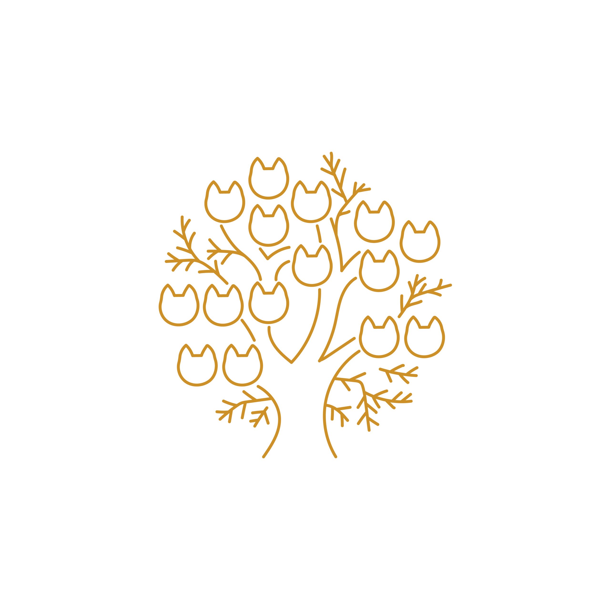 Arbre généalogique de la Chatterie des Moriko